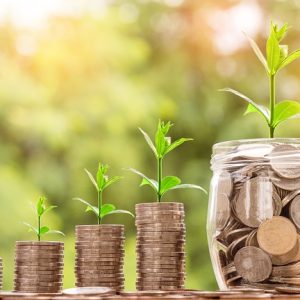 finanzas en la empresa